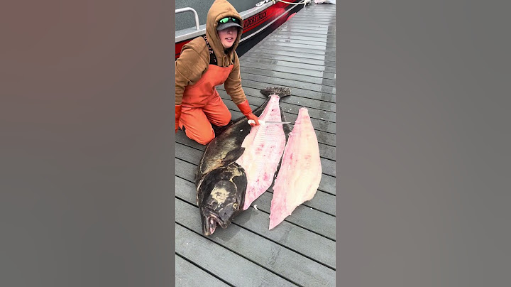 GIANT ALASKA HALIBUT Fishing and gets a filet job. #fishing #alaskafishing #Halibut #alaska