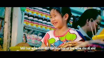 Chợ Châu Đốc vương quốc mắm miền tây