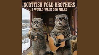 I Would Walk 300 Miles (feat. Scottish Fold Brothers)