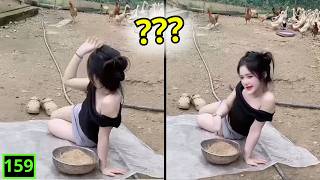 Những Thằng Ngu Nhất Hành Tinh 😂 Video Hài Hước Cười Vỡ Bụng ( P 159 ) | Hài 5 Phút