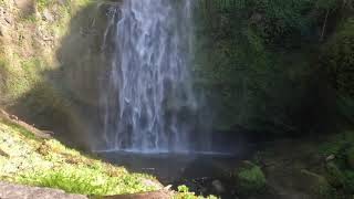 Hiking in Portland, Oregon ￼