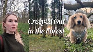 Evening Forest Walk in Scotland | Getting Creeped Out in the Woods