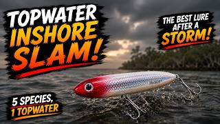 Inshore Slam on Topwater Right After the Storm