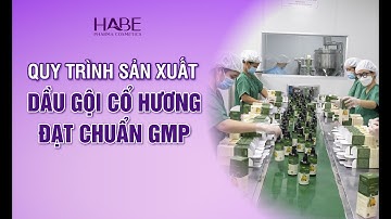QUY TRÌNH SẢN XUẤT DẦU GỘI THẢO MỘC CỔ HƯƠNG TẠI NHÀ MÁY ĐẠT CHUẨN GMP| DƯỢC MỸ PHẨM HABE