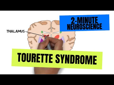 2-Minute Neuroscience: Tourette Syndrome