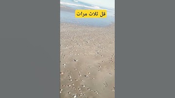 قل ثلاث مرات#اذكار_المساء #اكسبلور #دعاء_الرزق #اذكار_الصباح #ترند #أذكارالنوم #لايك