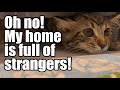 Oh no! My home is full of strangers