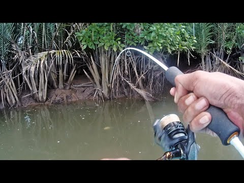 Video: Memancing Kemana?