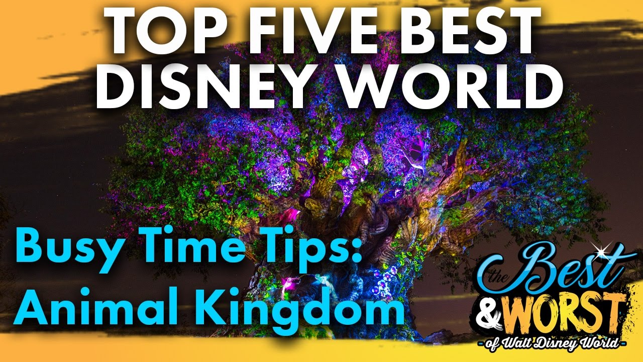 TOP 5 BEST Busy Time Tips & Tricks: Animal Kingdom! | Best & Worst | 12