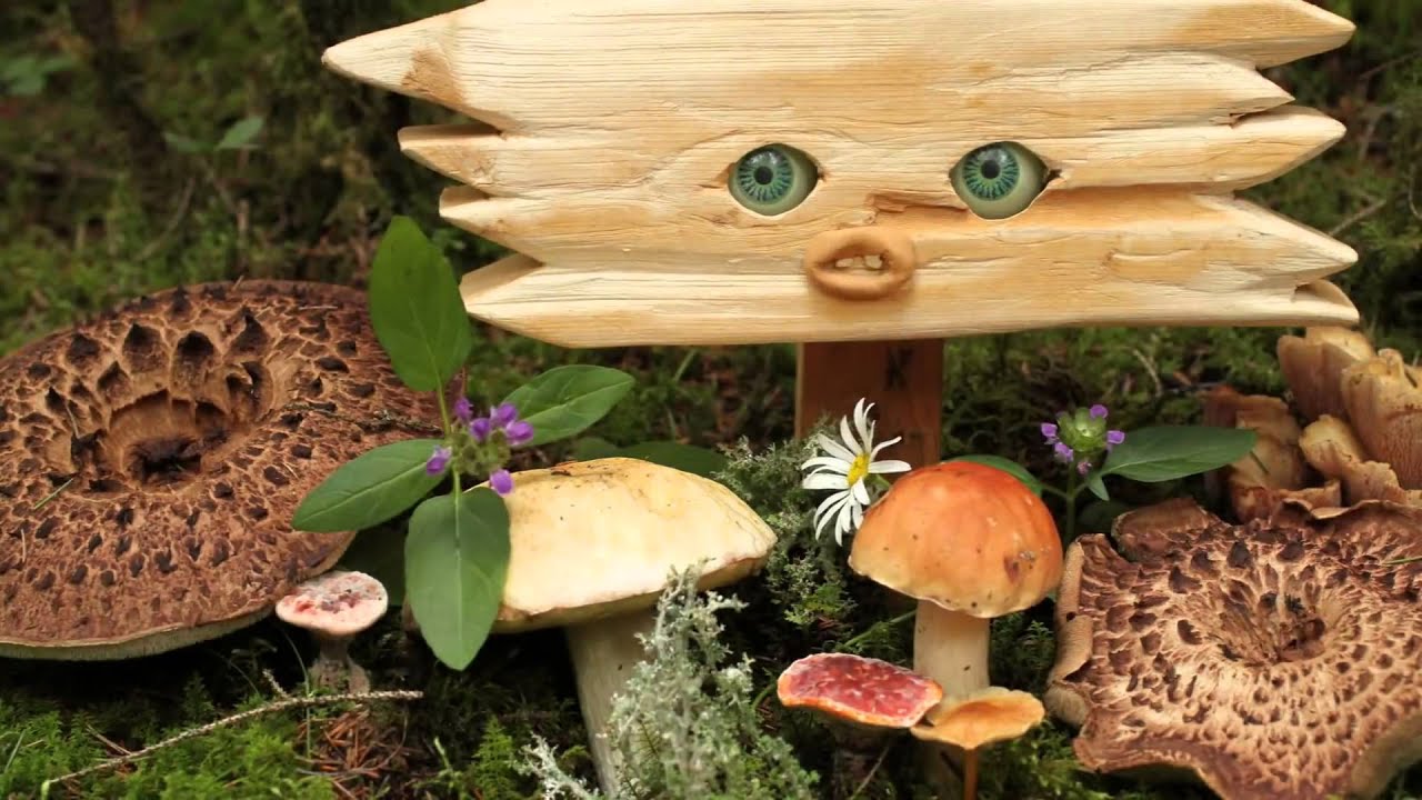 Destroyer   Times Square