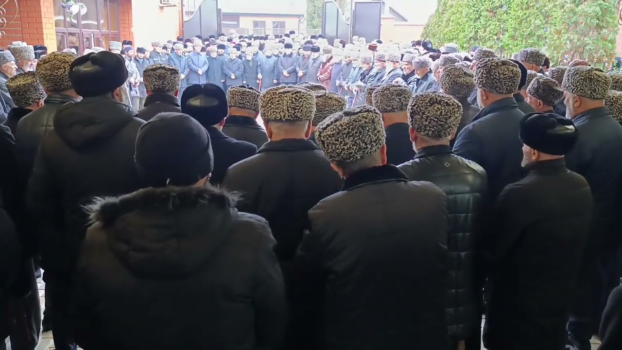 100#зикар Мусиев #Ибрахьаме #нан д1аян #Мамилов #Алисхан 