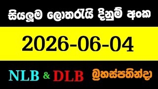 Nlb Dlb 20260604    Lotharai Dinum dlb nlb lottery 20260604