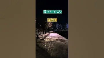 꿈에본내고향 주현미 정통트롯 옛가요 원곡한정무 실향민 설명절 
