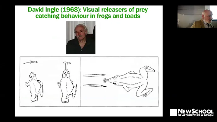 Lecture Series: Michael Arbib | From Frogs Brains ...