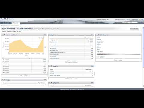 Reporter 9.1 for HR professionals