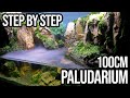Step By Step Beautiful Paludarium 100cm