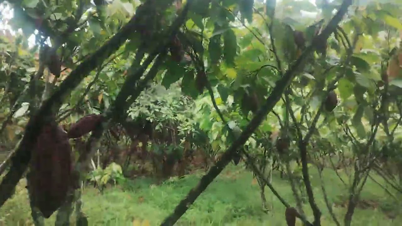 24 de fevereiro de 2026