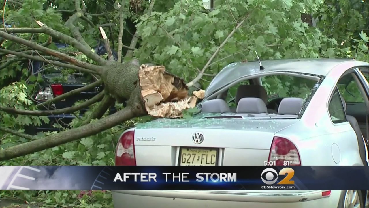 NJ Woman Killed By Falling Tree - YouTube
