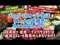 [フランス・パリ生活]アパルトマンの隣人との関係性にちょっと悩んだ、言語の違いは奥が深いし日本人にとっては疲れるんだなこれが～迷惑インバウンド対策もｗ #パリ生活 #フランス生活 #インバウンド
