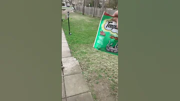 HOW TO FIND YOUR LOST CAT 