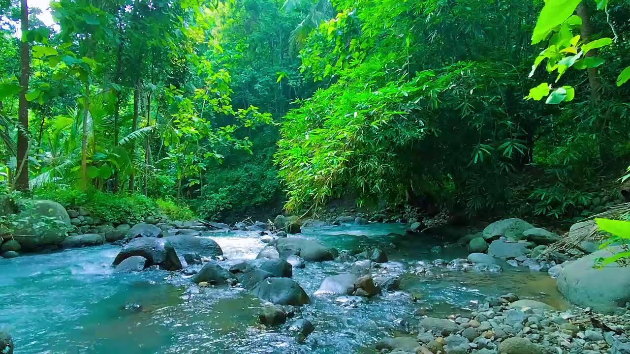 Peaceful Morning River Sounds 🌲💧 Calm Water Sounds for Relax