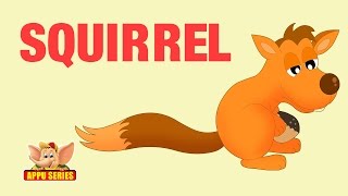 Animal Facts - Squirrel screenshot 2