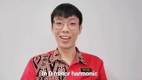 D Minor Harmonic Scale on Recorder