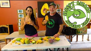 Sampling Summertime Mango Varieties