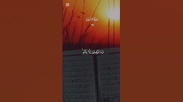 أرح قلبك قليلا 😴🎧🎶 أفضل تلاوة القرآن الكريم بصوت جميل 💚 اللهم اجعل القرآن ربيع قلوبنا ونور صدورنا