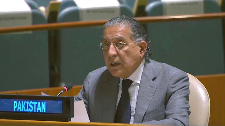 Ambassador Munir Akram's statement in the Third Committee of the UN General Assembly