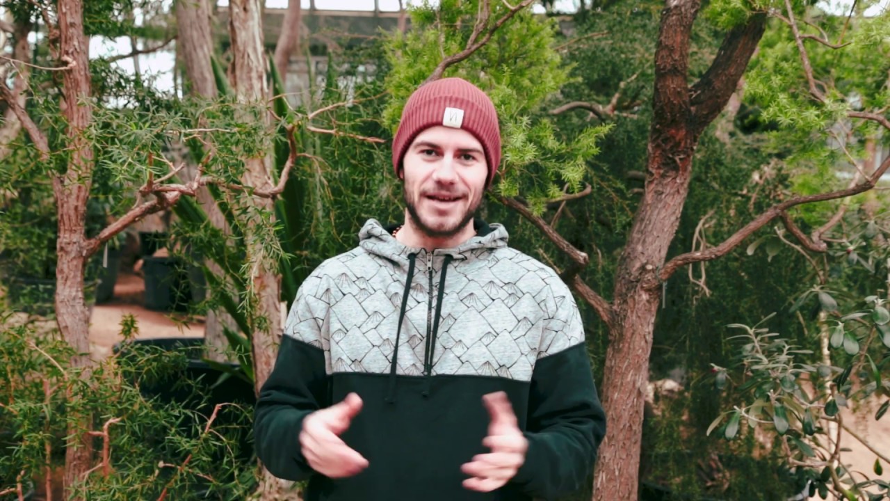 Bayreuths insektenfreundlicher Naturgarten