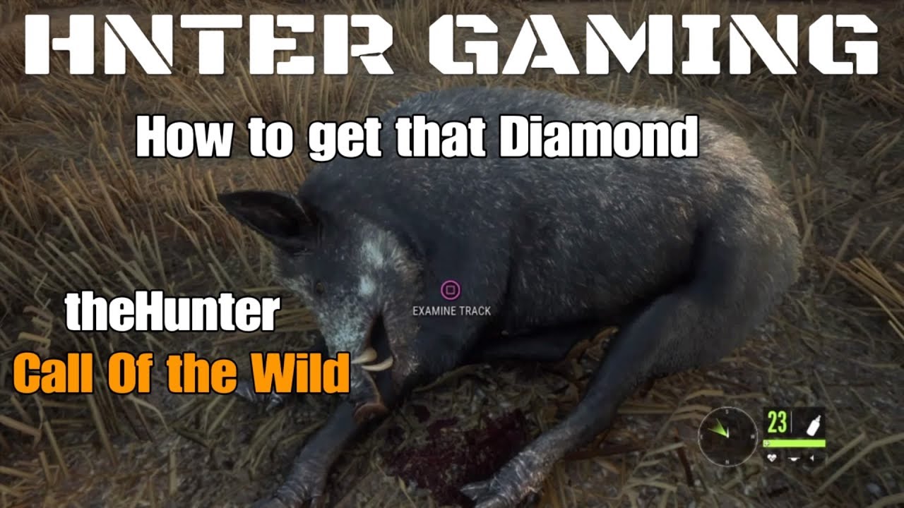 what are diamond weight classes for the hunter call of the wild