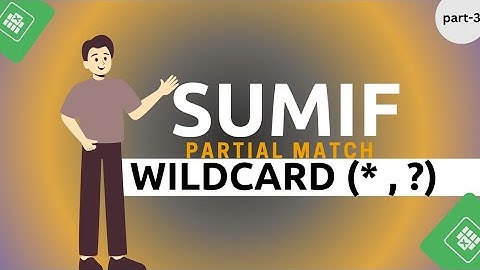 SUMIF With Wildcard | Excel Sum based on partial Text Match.