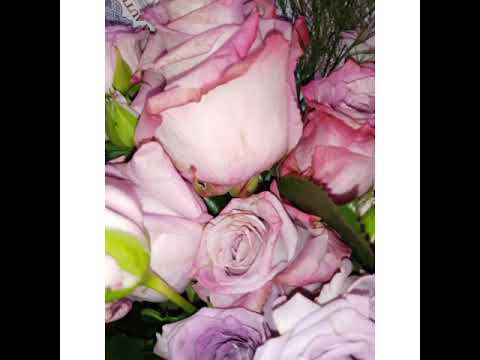 الف الف الف مبروك حبيبتي الله يتمم لك على خير