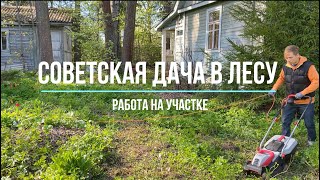 Работа на участке и знакомство с подписчиками. Советская дача в лесу Выпуск №2