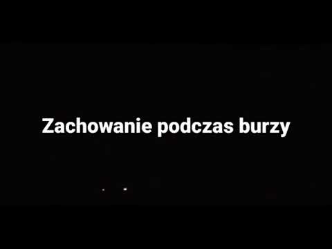 Wideo: Jak Zachowywać Się Podczas Błota