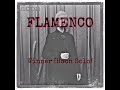 Hoony (Winner) - FLAMENCO (Easy Romanize Lyrics)