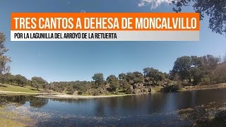 Tres Cantos a Dehesa de Moncalvillo