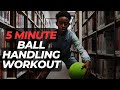 5 Minute Ball Handling Workout | Basketball Training