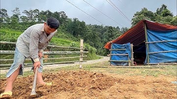 Lên Khuyên Anh Tả Đi Tái Khám Lại |Cói Lalin
