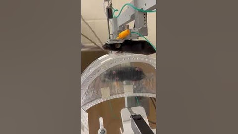 Multi-channel recording in the brain of an awake mouse