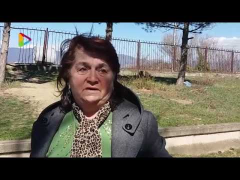 ავარიის შედეგად დაღუპული 11 წლის გოგონას ახლობლები დამნაშავის  მთელი სიმკაცრით  დასჯას ითხოვენ   Pal