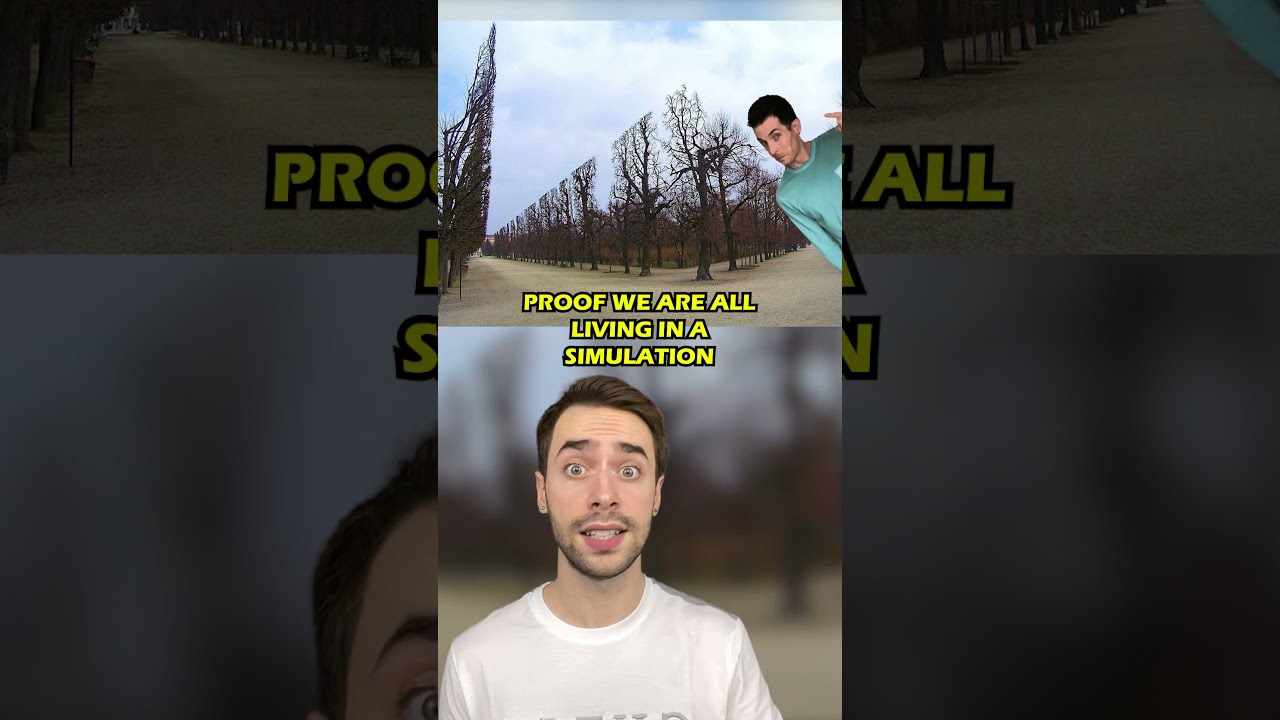 PROOF THAT WE LIVE IN A SIMULATION
