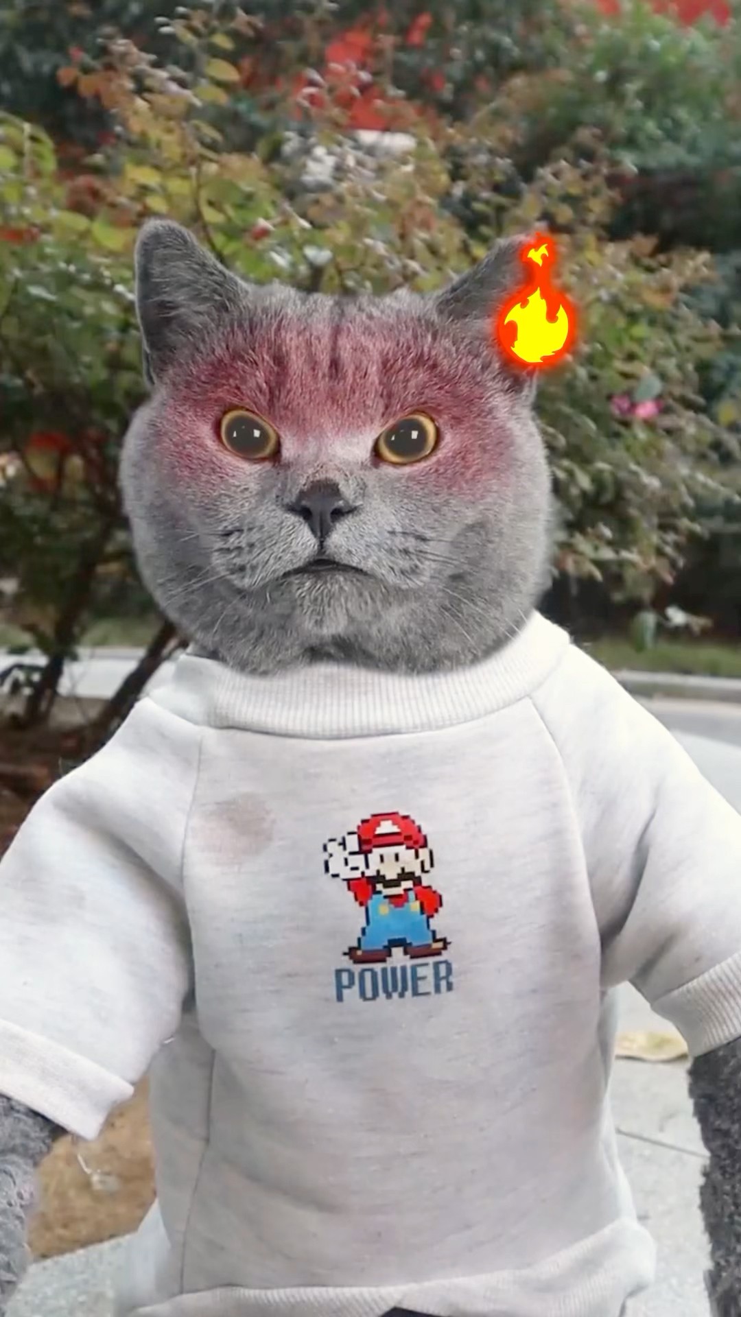 Oh No!? Let's Remake A Tasty And Beautiful Popsicle?? #funnycat #catmemes #trending