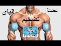 عضلة الباى ، تضخيم و تقوية عضلة البايسيبس  ( البايسبس ) |  Biceps muscle workout