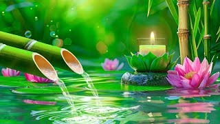 Relaxing Sleep Music + Insomnia: Stress Relief, Relax, Sleep, Spa & Meditation Music, Heart Healing by Balance Life 59,542 views 4 weeks ago 1 hour, 49 minutes