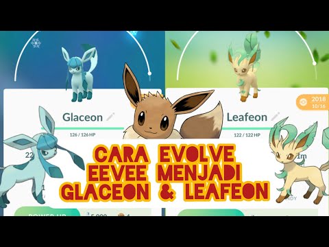 Video: Bocor Pok Mon Go Menjelaskan Metode Baru Untuk Mengembangkan Eevee Menjadi Leafeon, Glaceon