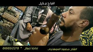 محمود السوهاجي افراح برخيل