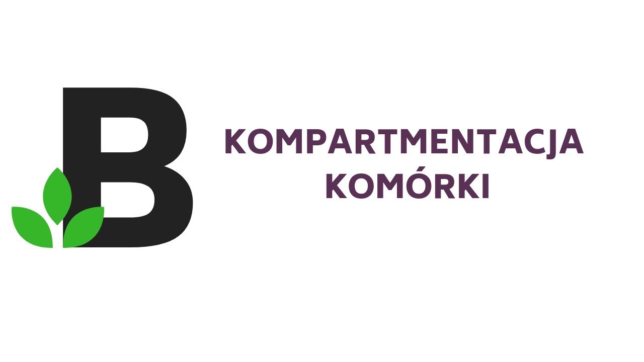 kompartmentacja-kom-rki-kompartymentacja-przedzia-owo-kom-rki