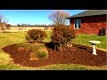 Flower Landscape Bed Design